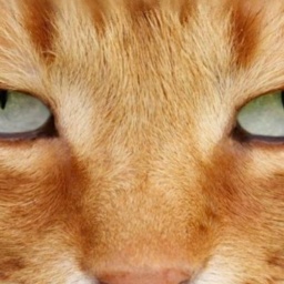 best sim sex game online with homosexual sentimental girl Sharanight, life is a game made for everyone, and love is a prize