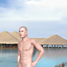 3Dsex game playing AChat community member bisexual erotomanic boy Accelerator, A tourist, 