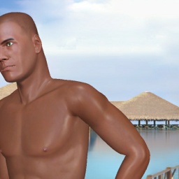 see heterosexual brute boy Prince01, north,  while playing porn game online