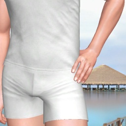 hot online porn game player  hot boy S12345688, 