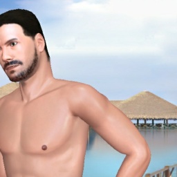 see heterosexual sodomist boy Drakan, USA,  while playing porn game online