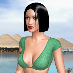 virtual sex and dating with people like bisexual lush shemale Secondd, 