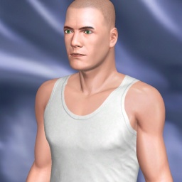 see heterosexual pervert boy Nialo,  while playing porn game online