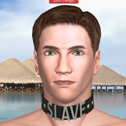 c01723541 0000001721385374