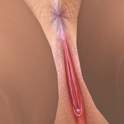 sexgame online MMO playing with adult member  hot girl Sarahsmith, 