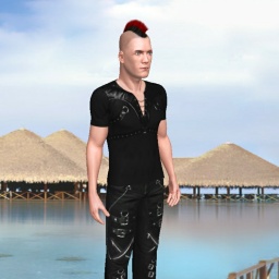enjoy virtual sex games with mates like heterosexual hot boy Ravenwhite23, US, 