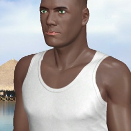 free 3D sex game adventures with heterosexual amatory boy HASHCAT, US, 