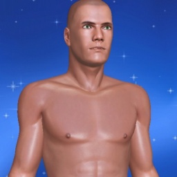 multiplayer virtual sex game player heterosexual romantic boy NightDom, USA, 