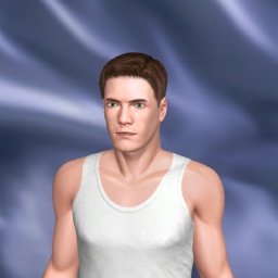 partner heterosexual erotomanic boy Hoverjet,  for adult online game playing