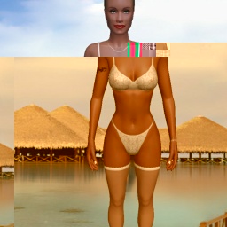 partner bisexual erotomanic shemale Master696969,  for adult online game playing