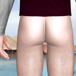 sexgame online for adults like heterosexual conversable boy MrCowboy, 