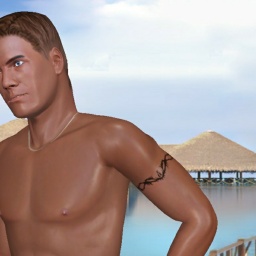 hot heterosexual sodomist boy Flysohigh06,  enjoys online 3Dsex