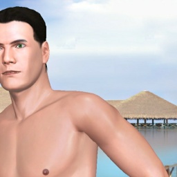 see heterosexual brute boy Quet,  while playing porn game online