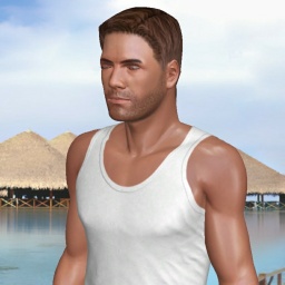 3D sex game community member homosexual bugger boy Copper, USA, 
