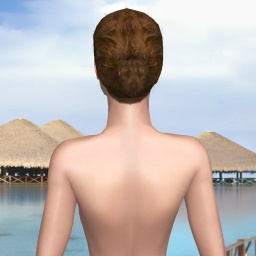 connect and play virtual 3D sex with heterosexual narcissist girl Nosakiee, 