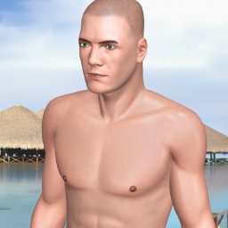 see heterosexual sodomist boy Woidl,  while playing porn game online