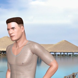 hot heterosexual romantic boy Silver_609, SA,  enjoys online 3Dsex