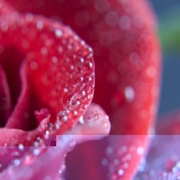 adults enjoying 3D sex games like heterosexual vuloptuous girl Aregana, Sunshine MD, Looking for a some...., 