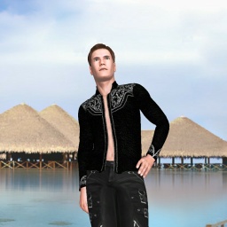 for 3D virtual sex game, join and contact heterosexual devoted boy Roc123, United States, here to make friends, subs, and to give pleasure (not paying)