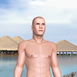 3Dsex game playing AChat community member heterosexual bugger boy Faceless_202, 
