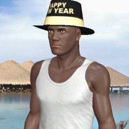 3Dsex game playing AChat community member heterosexual sentimental boy Hero456, 