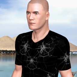 see heterosexual brute boy Blastpro, US,  while playing porn game online