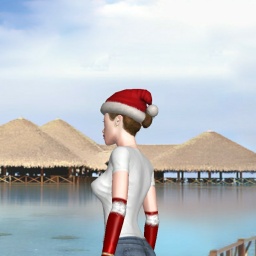 3D sex game community member homosexual erotomanic girl A147abc, Japan, Heterosexuality, 