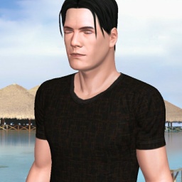 virtual sex game playing w. single girls like heterosexual sensitive boy Wick_2, 