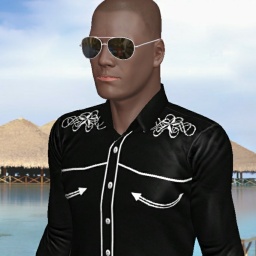 see heterosexual brute boy BigDaddyL,  while playing porn game online