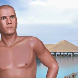 multiplayer virtual sex game player heterosexual narcissist boy Lubbig, swed, 