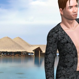 see heterosexual sex maniac boy Pbenz, US,  while playing porn game online