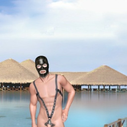 play virtual sex games with mate heterosexual bugger boy DankMcgee, usa, 