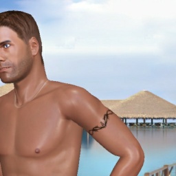 3Dsex game playing AChat community member heterosexual fiend boy Lxslfa, 