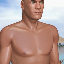 enjoy virtual sex games with mates like heterosexual bugger boy Schema, 