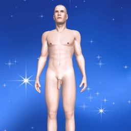 see homosexual virile boy Jhenn,  while playing porn game online