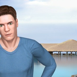 multiplayer virtual sex game player heterosexual sodomist boy Hp666, china, 