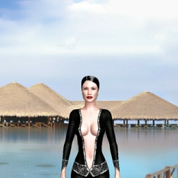 for 3D virtual sex game, join and contact bisexual smarting girl Nivin_1, house of = geisha                     the = stands for 2