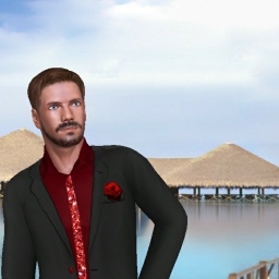 multiplayer virtual sex game player heterosexual sodomist boy Diion, usa, 