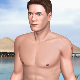 multiplayer virtual sex game player heterosexual eroticism boy LokiLaPoche, 