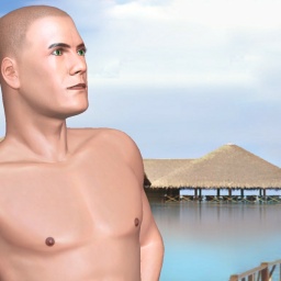 3Dsex game playing AChat community member bisexual bugger boy Llamallicker, 