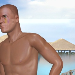 3Dsex game playing AChat community member heterosexual fiend boy BigLightskin, bi