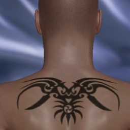 virtual sex game playing w. single girls like heterosexual pervert boy ShaneD, aChat, 