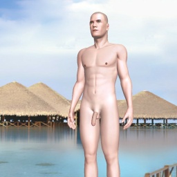 try virtual 3D sex with heterosexual lustful boy PYTrader, 