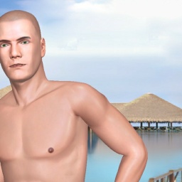 3Dsex game playing AChat community member heterosexual bugger boy DecentSigma, 