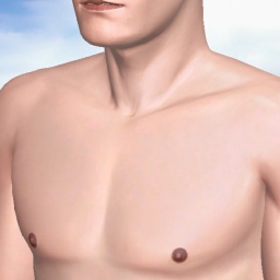 multiplayer virtual sex game player heterosexual lustful boy Bonez55, USA, 