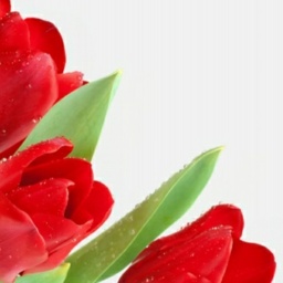 hot heterosexual hot girl HoneyIrene, European,  enjoys online 3Dsex