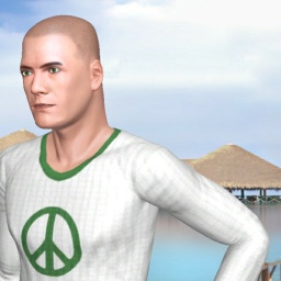 see heterosexual talkative boy Rick_29,  while playing porn game online