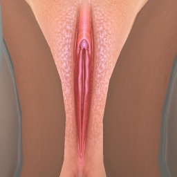 playing hot sex games with fans like bisexual narcissist girl MalyMara, Discord: malymara_10468, dm me on discord for a little surprise ; )