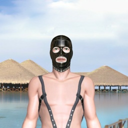 try virtual 3D sex with homosexual brute boy FaggyMaggie, My penis, dykes and fags against  hiv