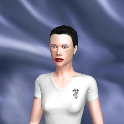 partner bisexual emotional shemale Yyue,  for adult online game playing